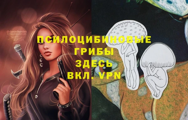 а пвп мука Верхний Тагил