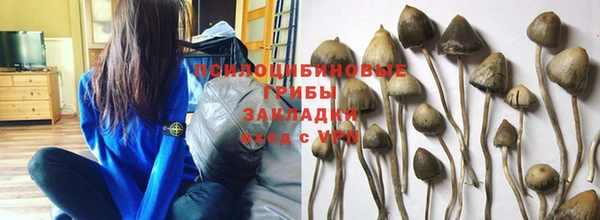 mdpv Бугульма