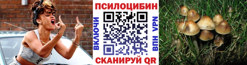 Галлюциногенные грибы Psilocybine cubensis  ссылка на мегу рабочий сайт  Вилюйск  закладка 